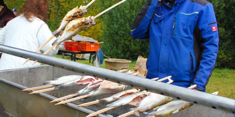 Abfischen am Schloss Fuerstlich-Drehna