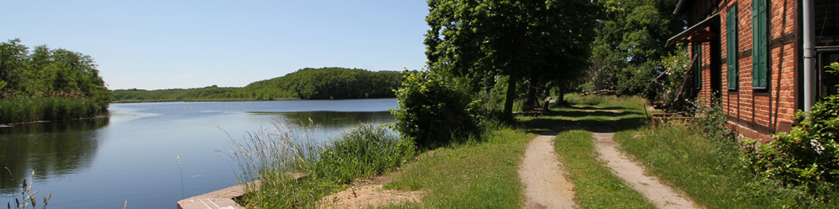Panorama golßen